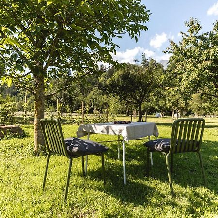 Apartament Iselhof Lienz Zewnętrze zdjęcie
